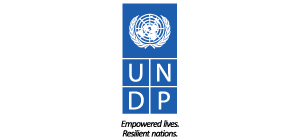 UNDP, BIH